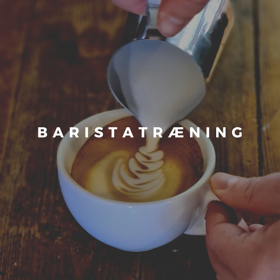 Just Coffee › Webshop template Barista training 23/Mar/2023 17 00 18 30